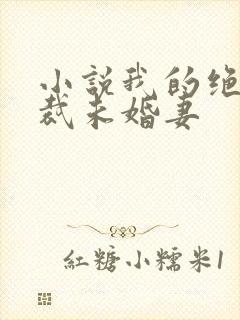 小说我的绝色总裁未婚妻