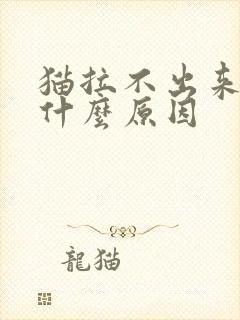 猫拉不出来尿是什么原因