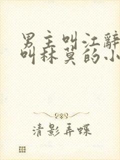 男主叫江辞女主叫林莫的小说