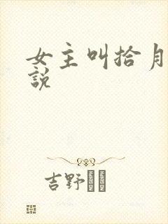 女主叫拾月的小说封面