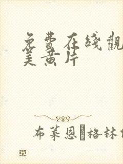 免费在线观看欧美黄片