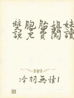 双胞胎姐妹花小说免费阅读