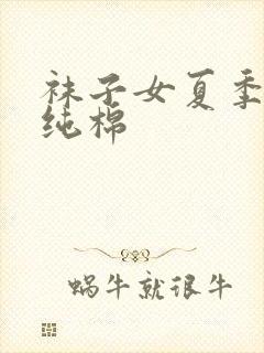 袜子女夏季薄款纯棉