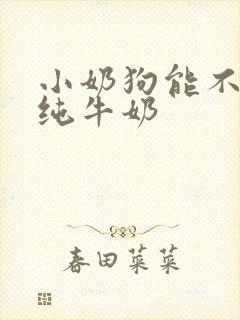 小奶狗能不能吃纯牛奶封面