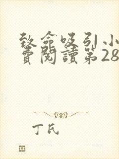 致命吸引小说免费阅读第28章