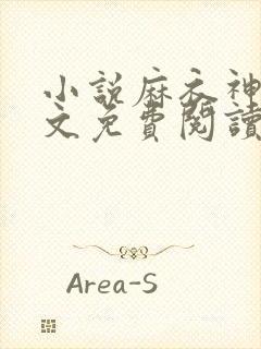 小说麻衣神婿全文免费阅读