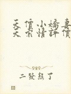 天价小娇妻33天索情评价封面