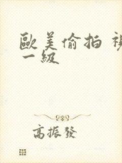 欧美偷拍 视频一级