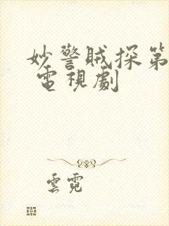 妙警贼探第三季 电视剧