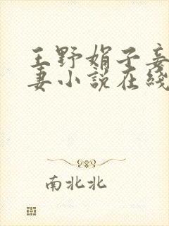 王野娟子妾不如妻小说在线阅读