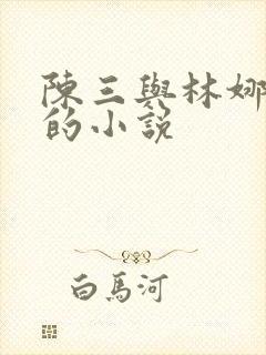 陈三与林娜林丽的小说