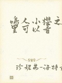 鸣人小樱之夜哪里可以看