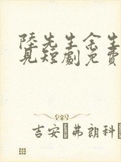 陆先生余生不再见短剧免费观看全集封面