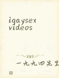 igaysexvideos封面