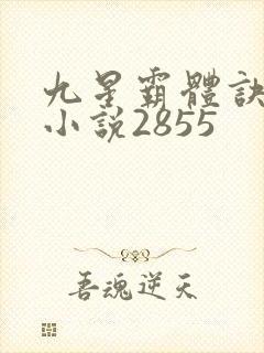 九星霸体诀有声小说2855