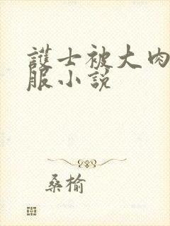 护士被大肉楱征服小说封面