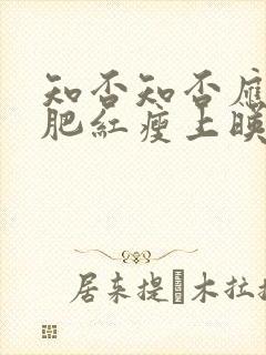 知否知否应是绿肥红瘦上映时间