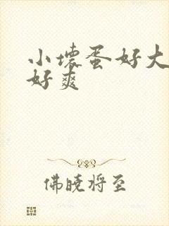 小坏蛋好大好硬好爽