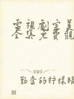 电视剧完美伴侣全集免费观看