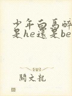 少年白马醉春风是he还是be封面
