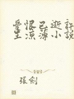 爱恨已逝许我半生凉薄小说