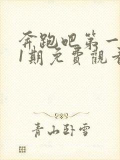 奔跑吧第一季11期免费观看完整版