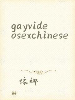 gayvideosexchinese封面