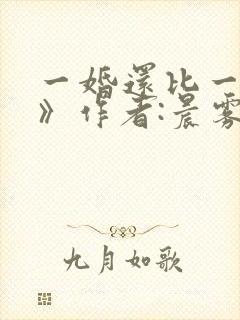 一婚还比一婚高》作者:晨雾的光