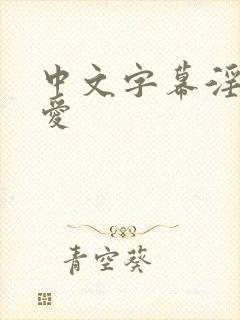 中文字幕淫佐山爱封面