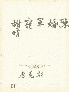 甜宠军婚陈淮夏晴