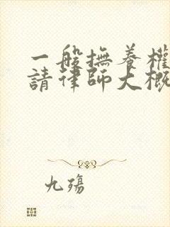 一般抚养权纠纷请律师大概多少钱封面