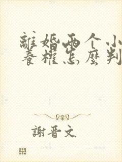 离婚两个小孩抚养权怎么判定封面