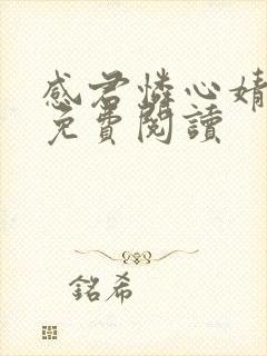 感君怜心婧小说免费阅读封面