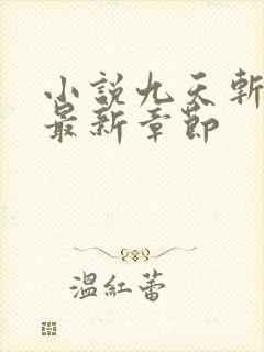 小说九天斩神诀最新章节