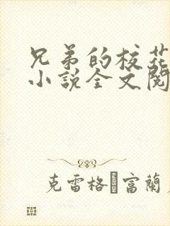 兄弟的校花女友小说全文阅读