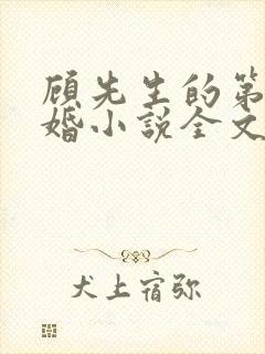 顾先生的第一宠婚小说全文