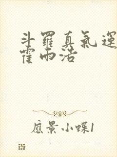 斗罗真气运之子霍雨浩