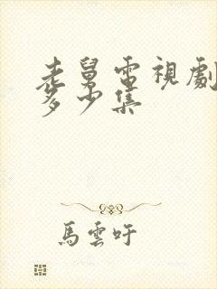 老舅电视剧总共多少集