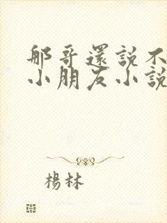 那哥还说不喜欢小朋友小说封面