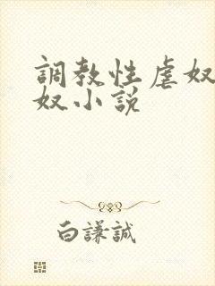 调教性虐奴警花奴小说封面