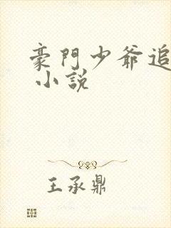 豪门少爷追妻记 小说