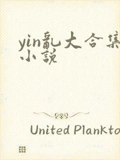 yin乱大合集小说