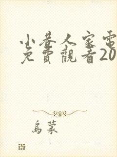 小巷人家电视剧免费观看2024