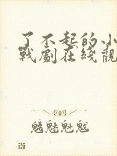 了不起的小姐谍战剧在线观看免费封面