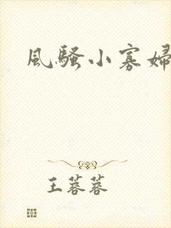 风骚小寡妇