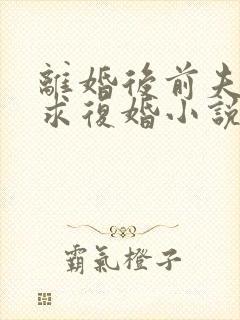 离婚后前夫哭着求复婚小说全文阅读