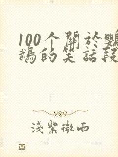 100个关于鹦鹉的笑话段子1