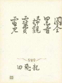 雷霆扫黑国语版免费观看全集