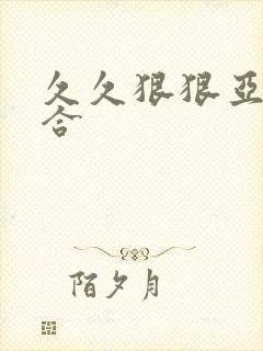 久久狠狠亚洲综合