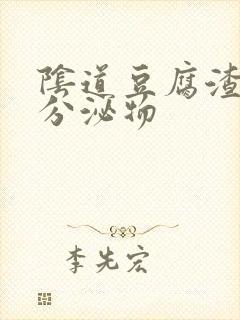 阴道豆腐渣阴道分泌物